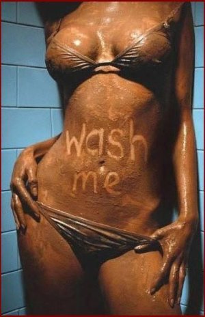 wash me.jpg