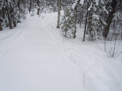 Sledding Besse 002.jpg