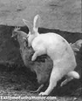 nasty easter bunny.jpg