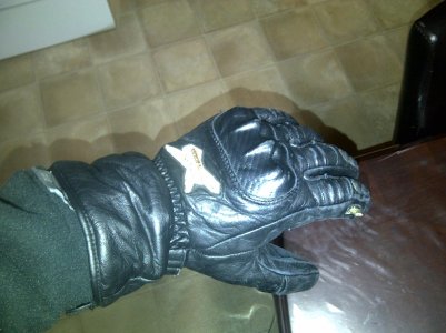 gloves.jpg