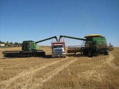 combines unloading.jpg