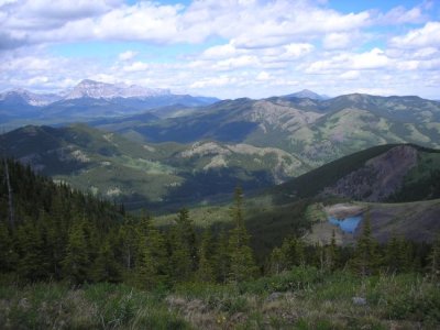 2011crowsnest_july 010.jpg