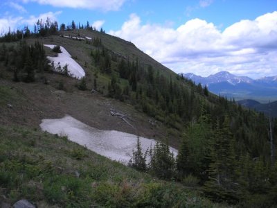 2011crowsnest_july 011.jpg