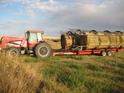 stacking bales.jpg