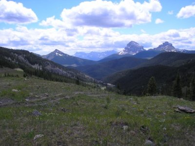 2011crowsnest_july 014.jpg