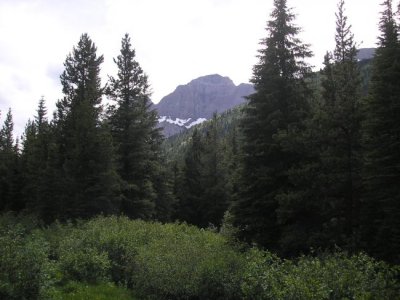 2011crowsnest_july 022.jpg