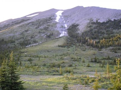 2011crowsnest_july 049.jpg