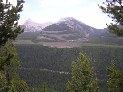 2011crowsnest_july 058.jpg