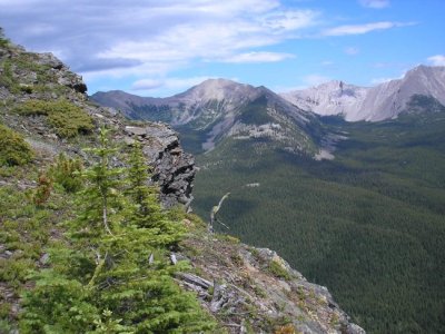 2011crowsnest_july 067.jpg