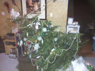 christmas tree topple.jpg