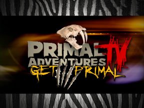 PrimalTVLogo-copy.jpg