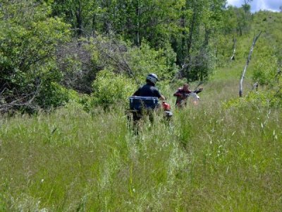 Winching out my swamped bike.jpg