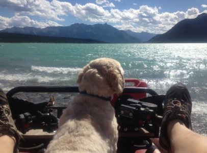 Abraham Lake (2) (640x473).jpg