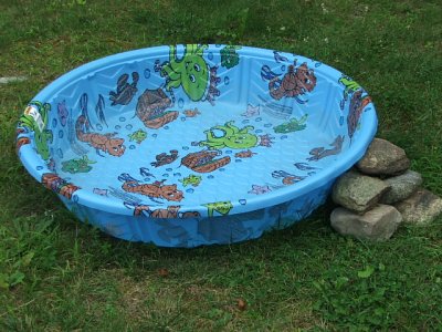 kiddie pool.JPG