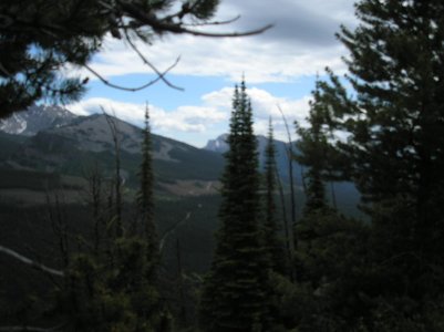 2011crowsnest_july 059.jpg